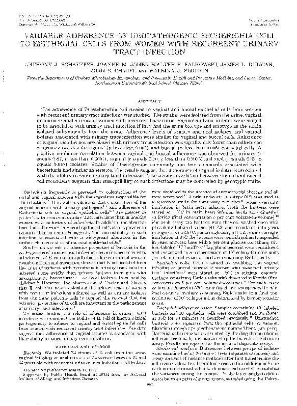 (PDF) Variable Adherence of Uropathogenic Escherichia Coli to ...