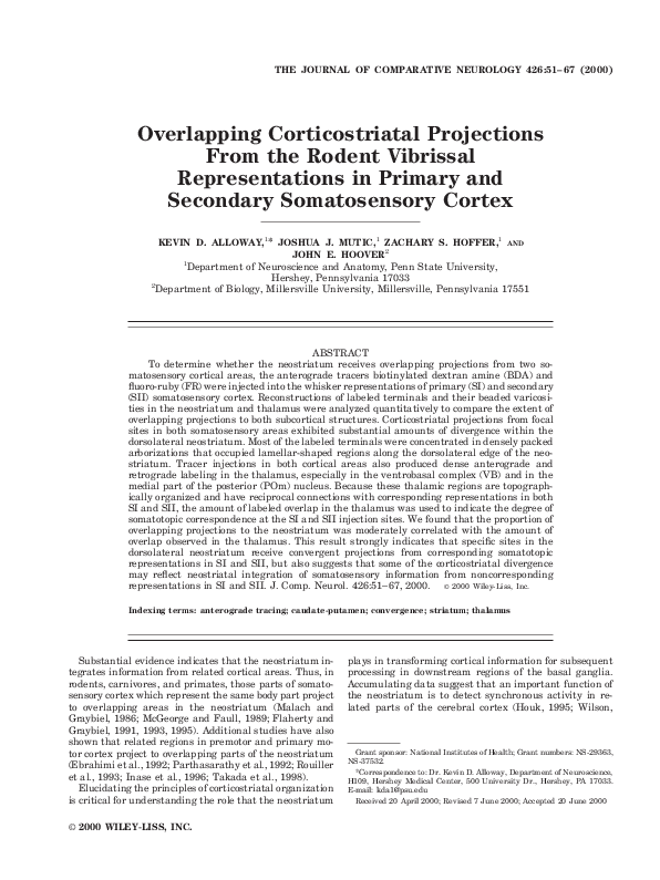 (PDF) Overlapping corticostriatal projections from the rodent vibrissal ...