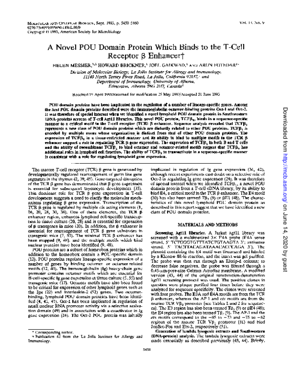 【楽ギフ_包装】 novel A PDF) POU T-cell the to binds which protein domain テント・タープ