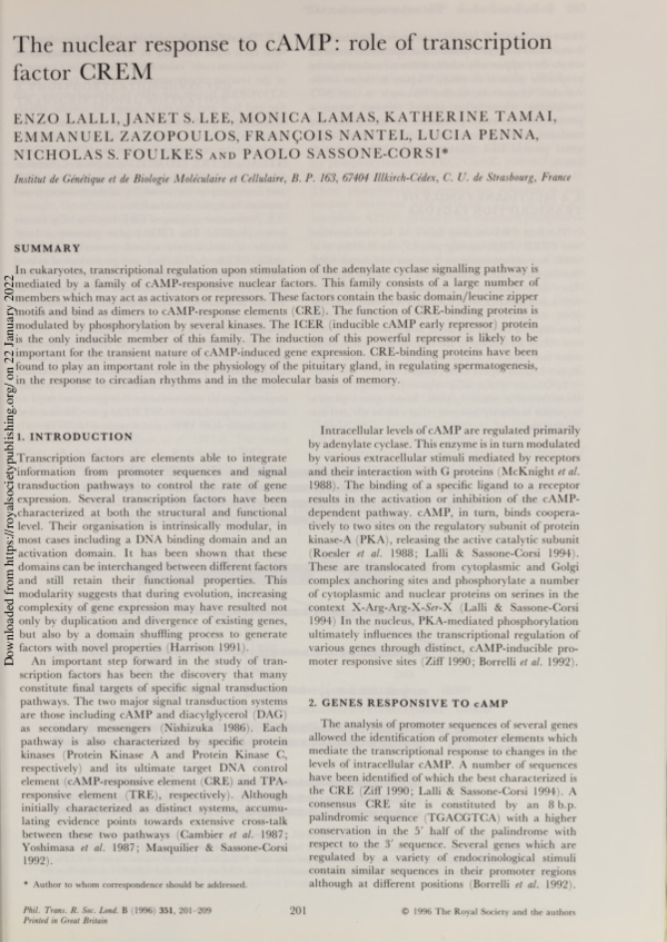 (PDF) The nuclear response to cAMP: role of transcription factor CREM