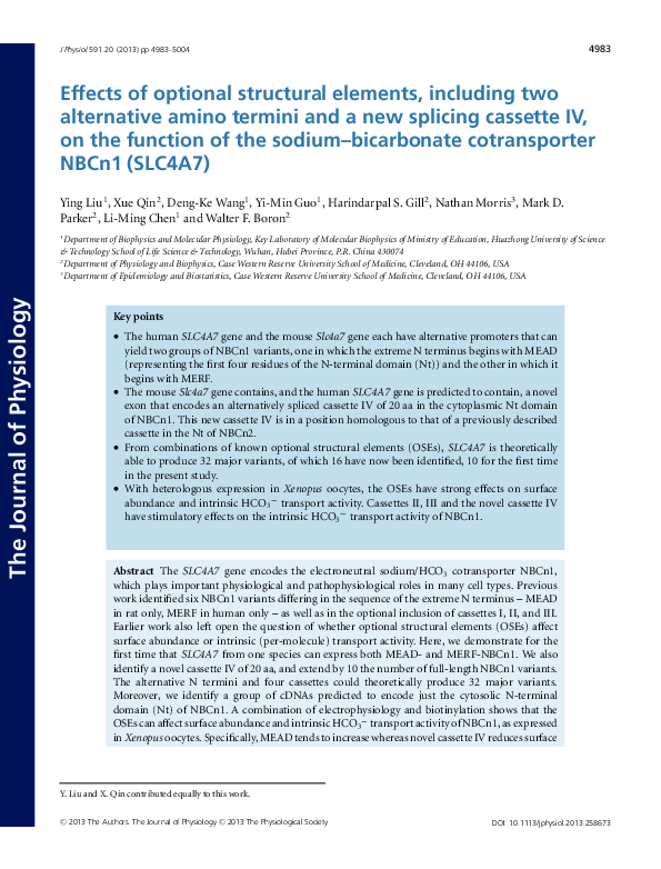 (PDF) Effects of optional structural elements, including two ...