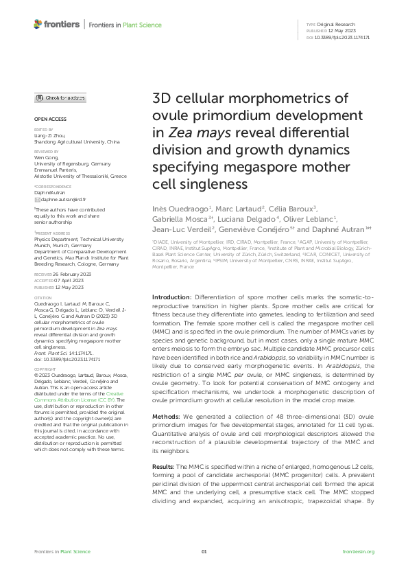 (PDF) 3D cellular morphometrics of ovule primordium development in Zea ...