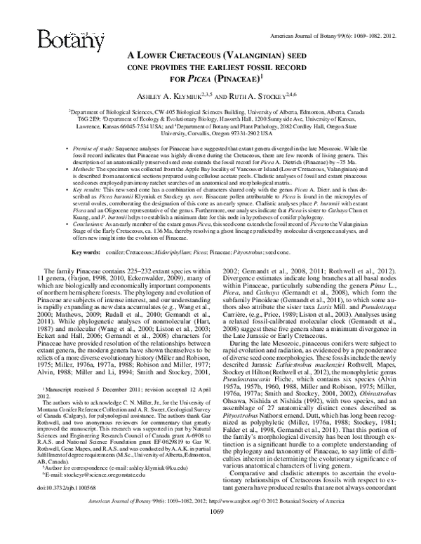 (PDF) A Lower Cretaceous (Valanginian) seed cone provides the earliest ...