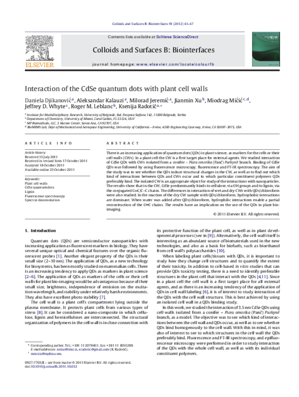 (PDF) Interaction of the CdSe quantum dots with plant cell walls