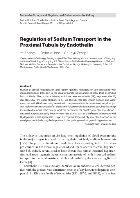 (PDF) Regulation of Sodium Transport in the Proximal Tubule by Endothelin