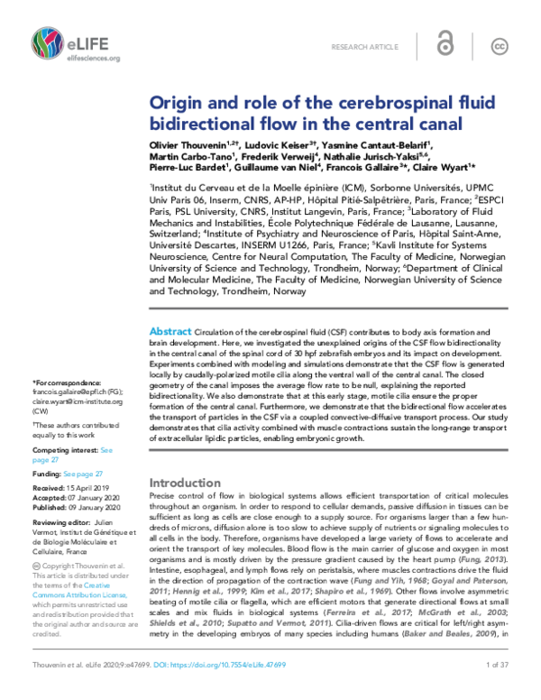(PDF) Origin and role of the cerebrospinal fluid bidirectional flow in ...