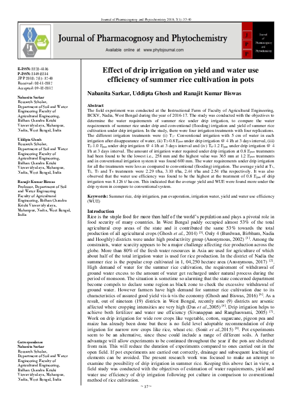 (PDF) Effect of drip irrigation on yield and water use efficiency of ...