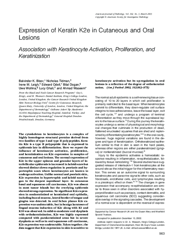 (PDF) Expression of Keratin K2e in Cutaneous and Oral Lesions