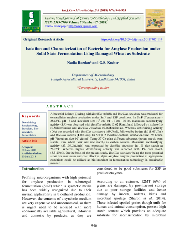 (PDF) Isolation and Characterization of Bacteria for Amylase Production ...