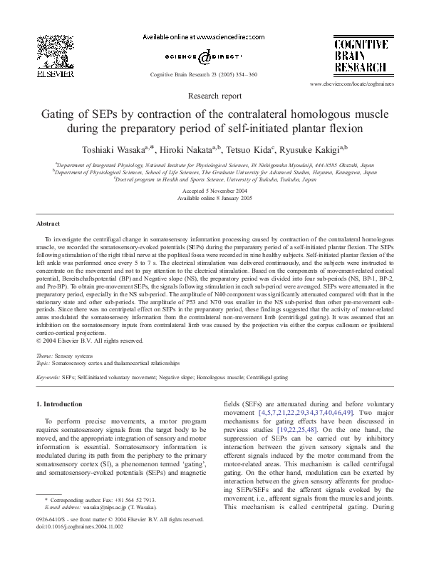 (PDF) Gating of SEPs by contraction of the contralateral homologous ...