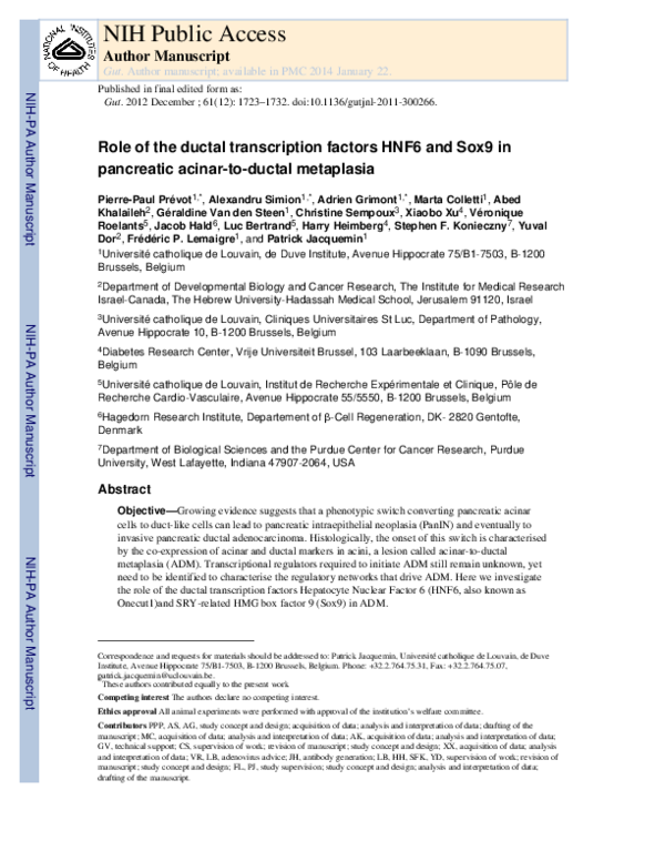 (PDF) Role of the ductal transcription factors HNF6 and Sox9 in ...