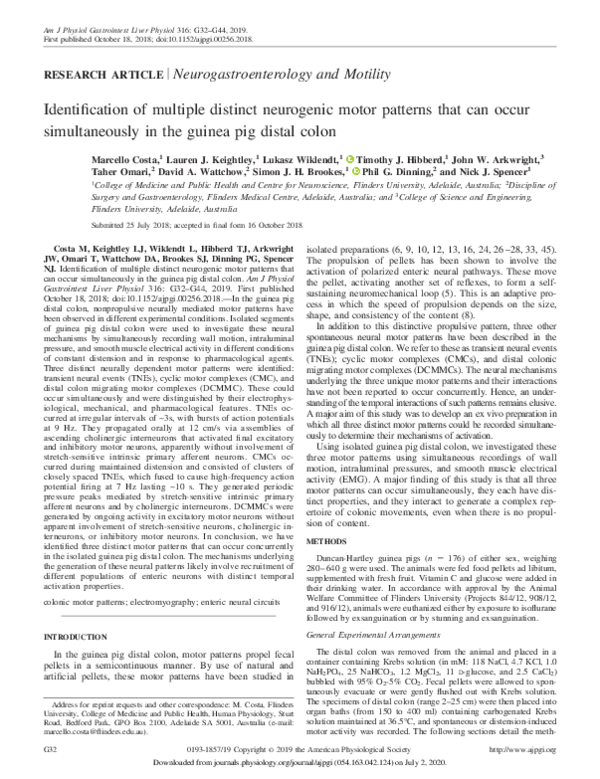 (PDF) Identification of multiple distinct neurogenic motor patterns ...