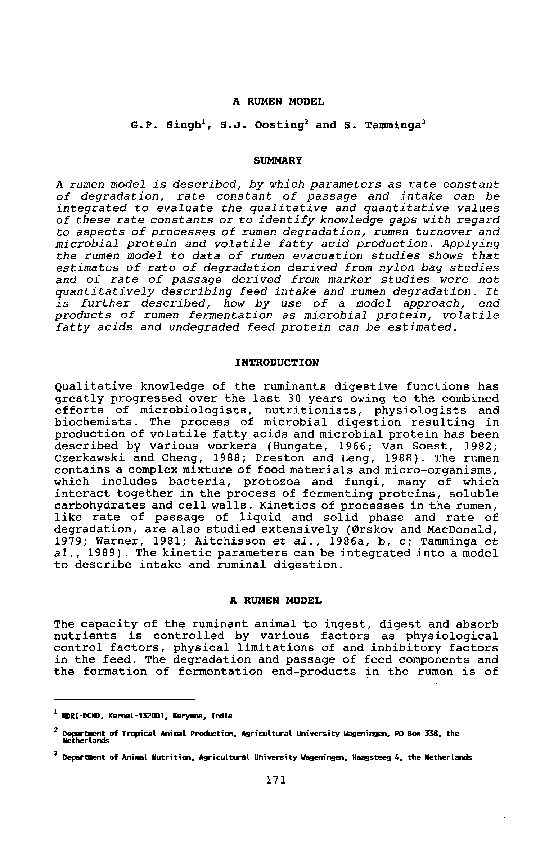 (PDF) A rumen model