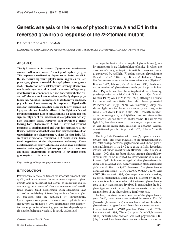 (PDF) Genetic analysis of the roles of phytochromes A and B1 in the ...