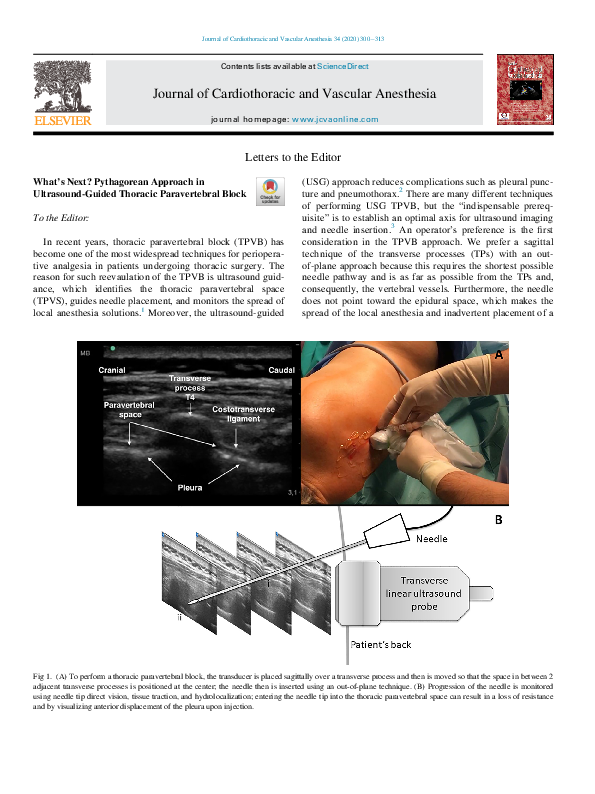 (PDF) What's Next? Pythagorean Approach in Ultrasound-Guided Thoracic ...