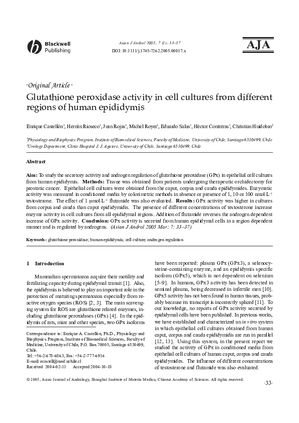 what does glutathione do to melanin PDF) Glutathione peroxidase activity in cell cultures from different  regions of human epididymis