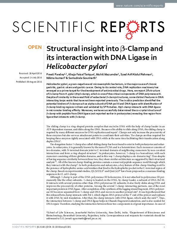 (PDF) Structural insight into β-Clamp and its interaction with DNA ...
