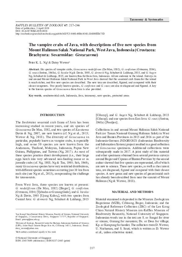 (PDF) The vampire crabs of Java, with descriptions of five new species ...
