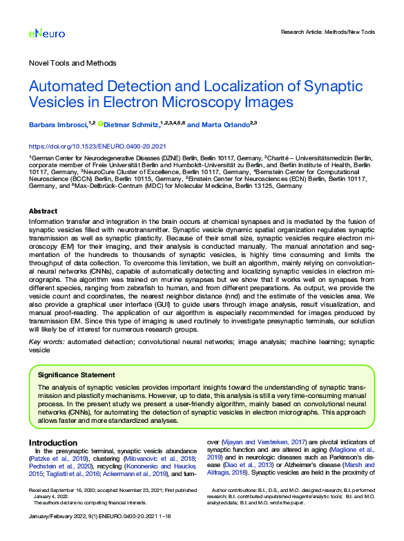 (PDF) Automated Detection and Localization of Synaptic Vesicles in ...