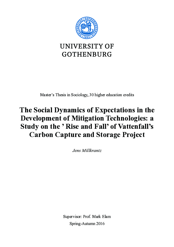 (PDF) The Social Dynamics of Expectations in the Development of ...