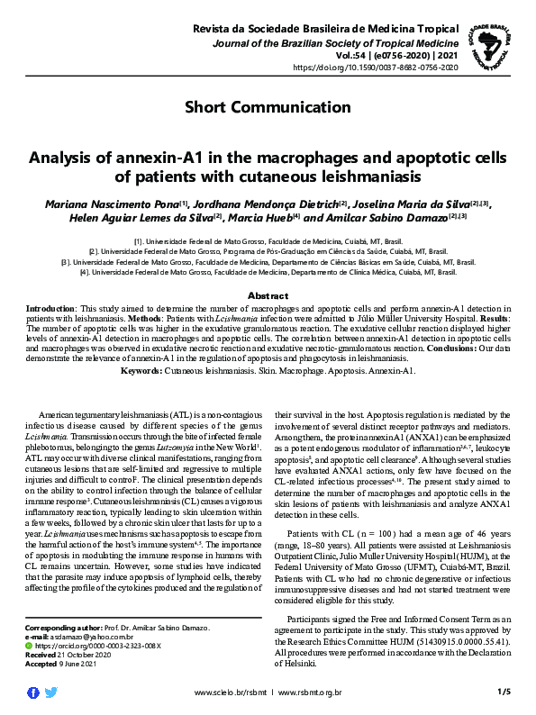 (PDF) Analysis of annexin-A1 in the macrophages and apoptotic cells of ...