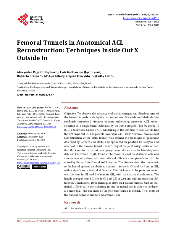 (PDF) Femoral Tunnels in Anatomical ACL Reconstruction: Techniques ...