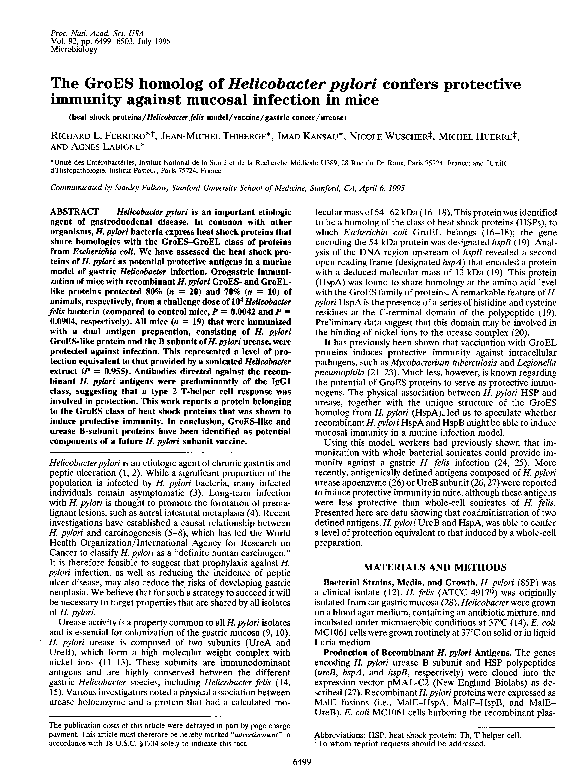 (PDF) The GroES homolog of Helicobacter pylori confers protective ...