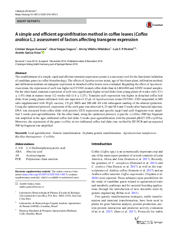 (PDF) A simple and efficient agroinfiltration method in coffee leaves ...