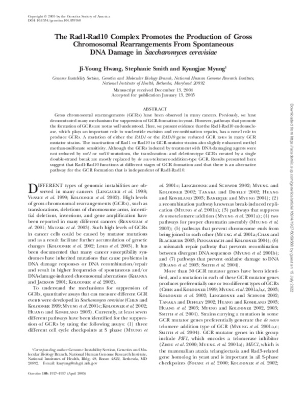 (PDF) The Rad1-Rad10 Complex Promotes the Production of Gross ...