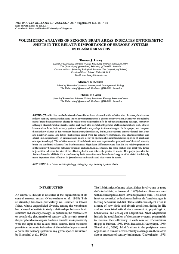 (PDF) Volumetric analysis of sensory brain areas indicates ontogenetic ...