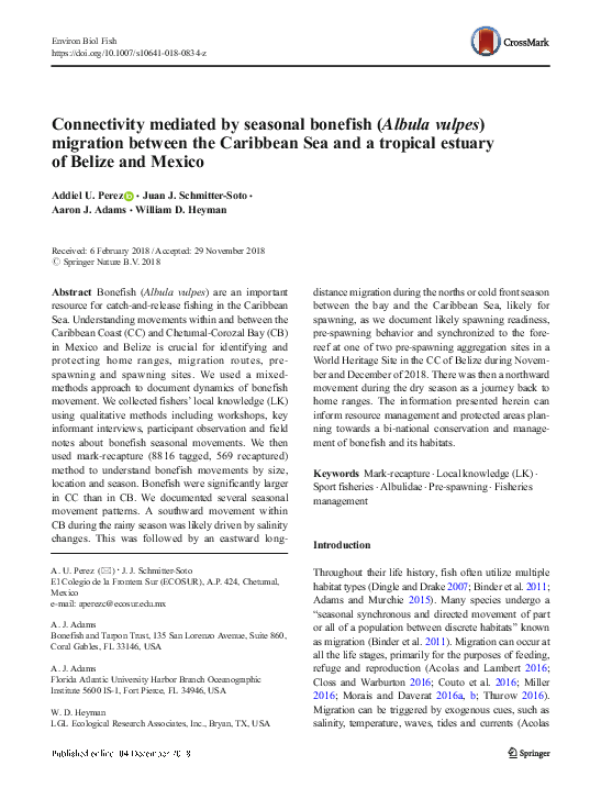 (PDF) Connectivity mediated by seasonal bonefish (Albula vulpes ...