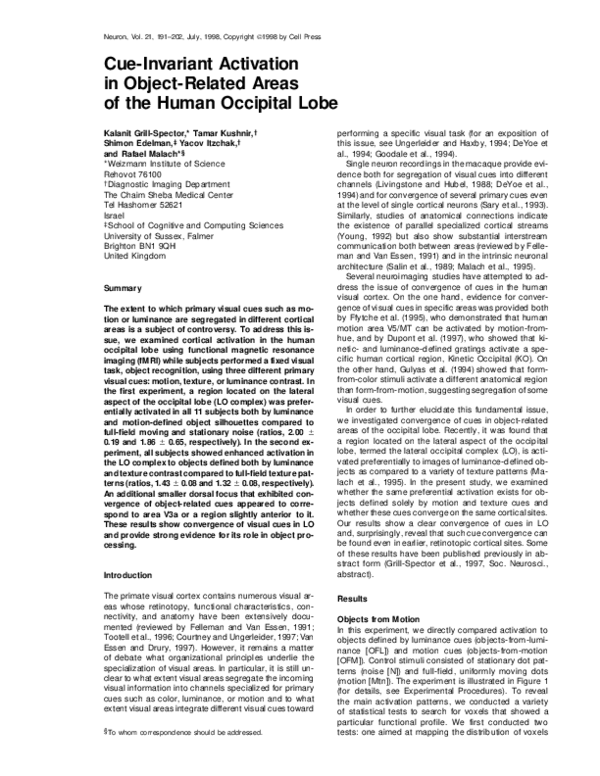 (PDF) Cue-Invariant Activation in Object-Related Areas of the Human ...