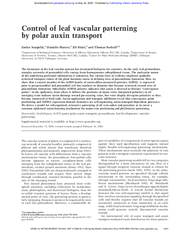 (PDF) Control of leaf vascular patterning by polar auxin transport
