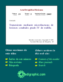 (PDF) Tratamiento mediante microfracturas de lesiones condrales grado ...