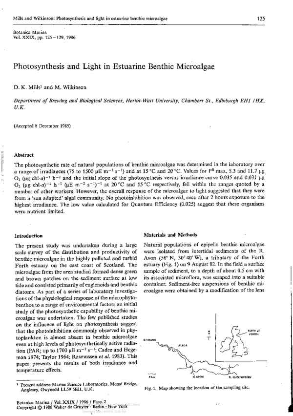 (PDF) Photosynthesis and Light in Estuarine Benthic Microalgae