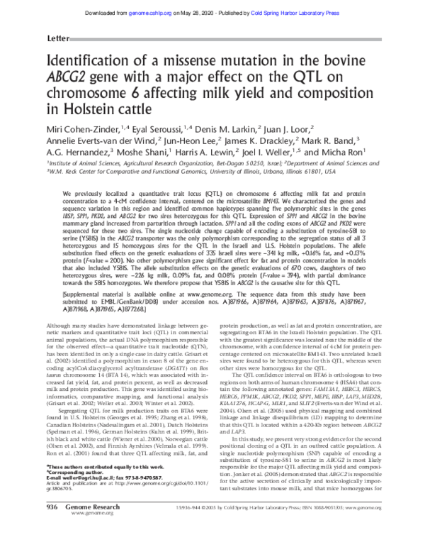 (PDF) Identification of a missense mutation in the bovine ABCG2 gene ...