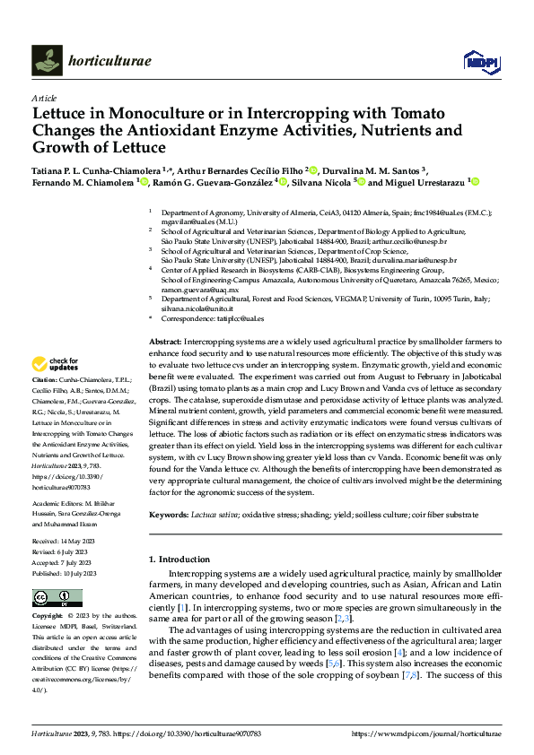 (PDF) Lettuce in Monoculture or in Intercropping with Tomato Changes ...