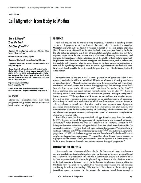 (PDF) Cell Migration from Baby to Mother