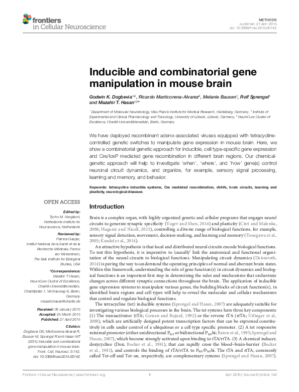(PDF) Inducible and combinatorial gene manipulation in mouse brain