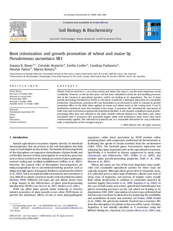 (PDF) Root colonization and growth promotion of wheat and maize by ...
