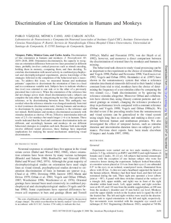 (PDF) Discrimination of line orientation in humans and monkeys