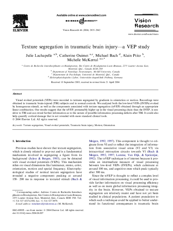(PDF) Texture segregation in traumatic brain injury––a VEP study