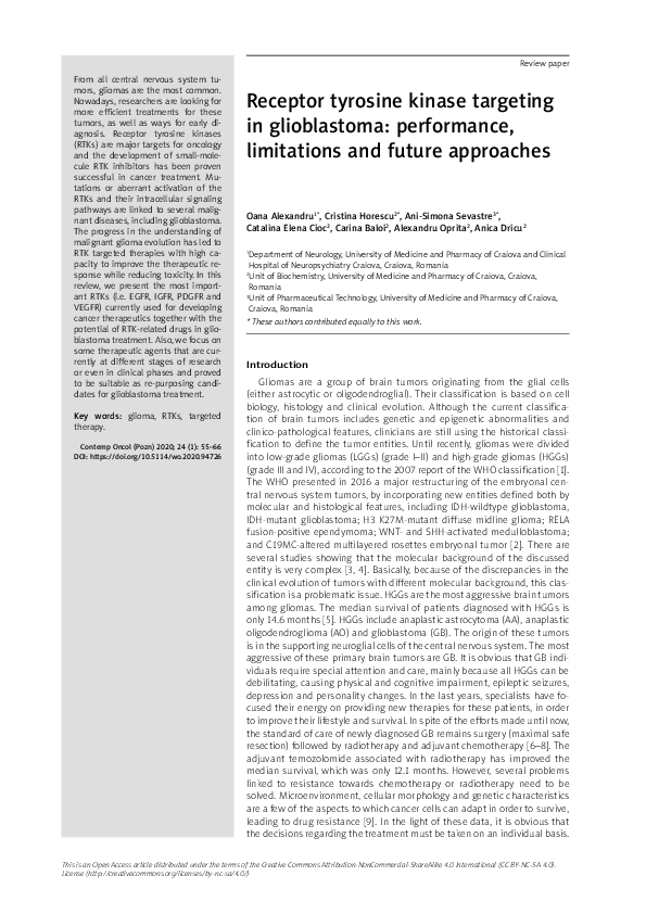 (PDF) Receptor tyrosine kinase targeting in glioblastoma: performance ...