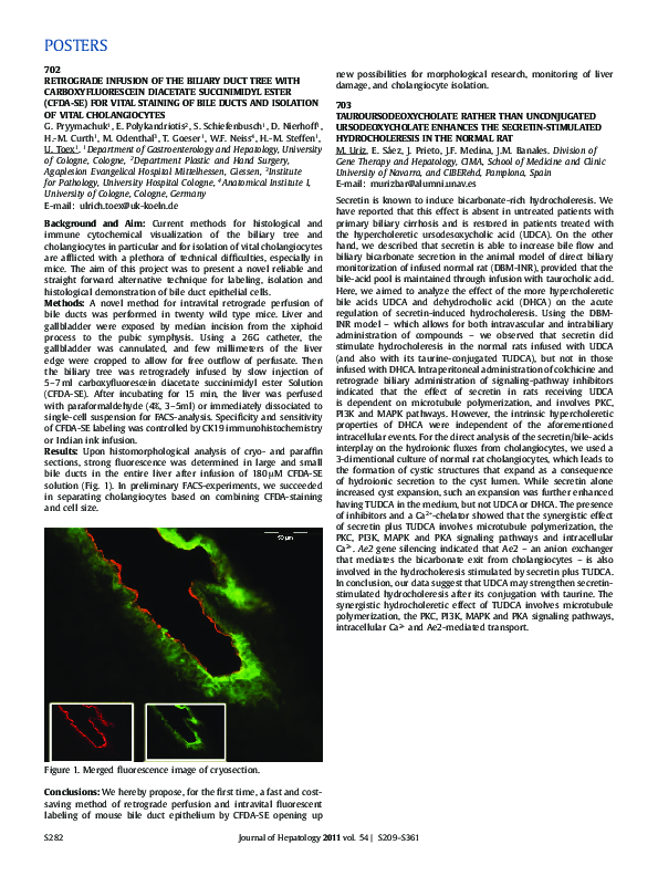 (PDF) 702 Retrograde Infusion of the Biliary Duct Tree with ...