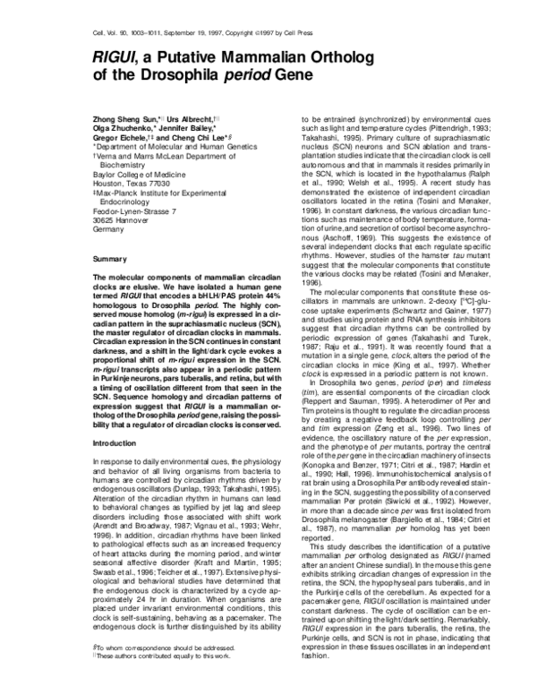 (PDF) RIGUI, a Putative Mammalian Ortholog of the Drosophila period Gene