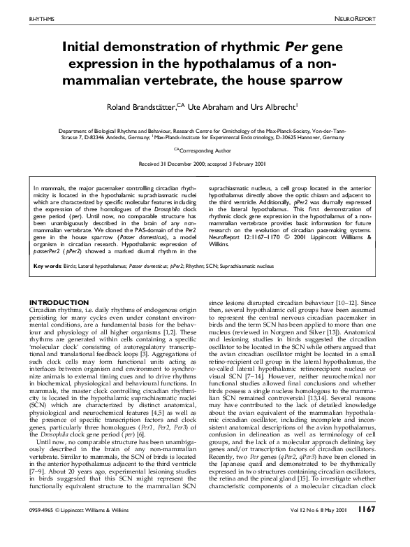 (PDF) Initial demonstration of rhythmic Per gene expression in the ...