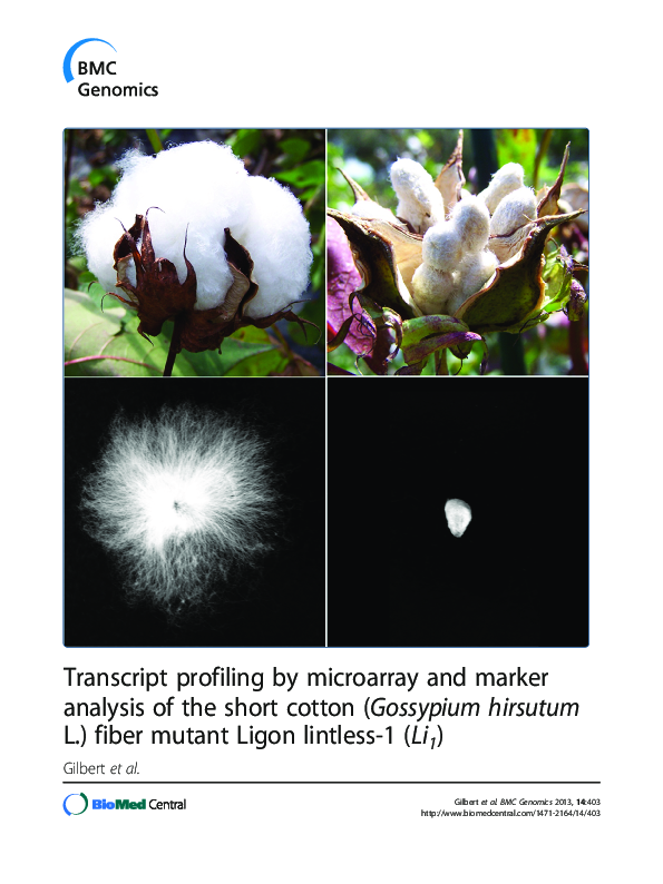 (PDF) Transcript profiling by microarray and marker analysis of the ...