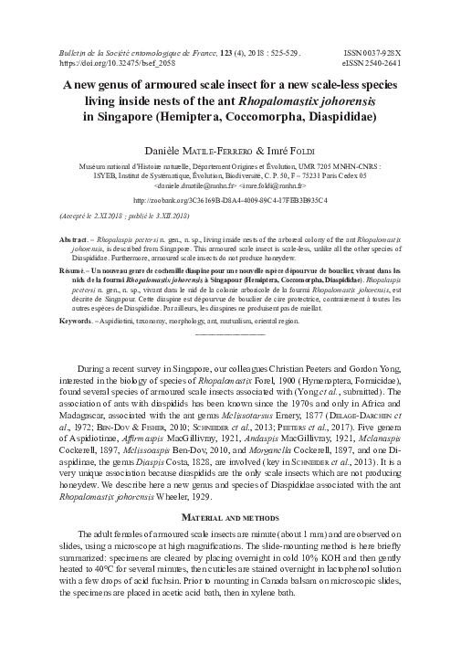 (PDF) A new genus of armoured scale insect for a new scale-less species ...