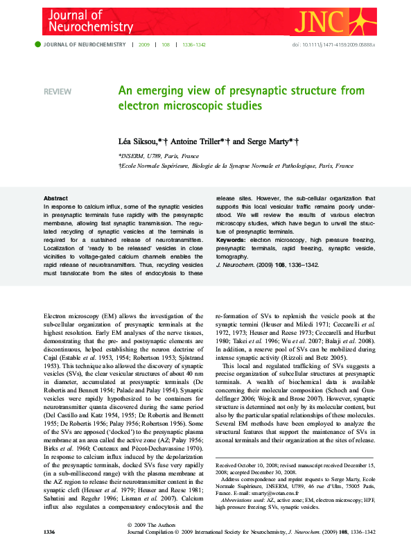 (PDF) An emerging view of presynaptic structure from electron ...