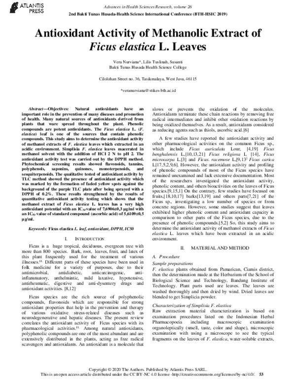 (PDF) Antioxidant Activity of Methanolic Extract of Ficus elastica L ...